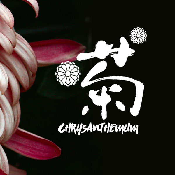 Kimono Obi Bow Clutch Bag | Gold spring | Upcycled from vintage Japanese Silk - Heritage ReFashioned