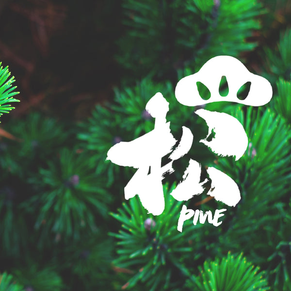 Refashioned Kimono Coin Purse | Pine Forest - Heritage ReFashioned